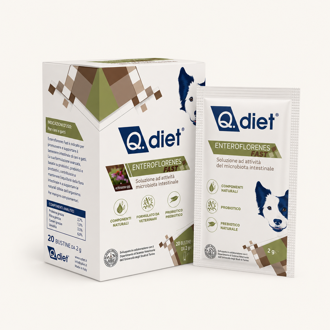 Q diet enteroflorene fast 10 buste