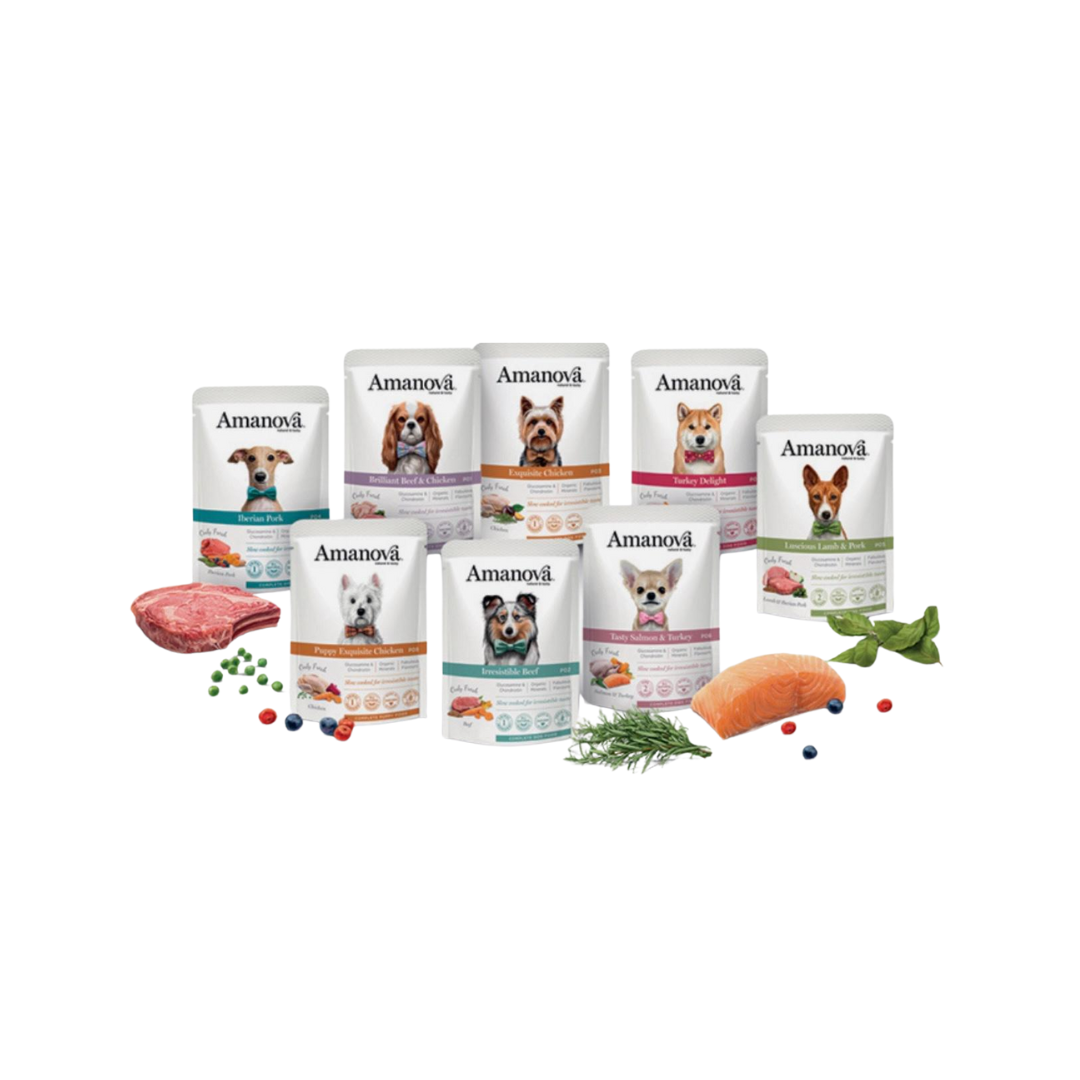 Umido amanova 80gr assortimento vario - 3 bustine da 80gr