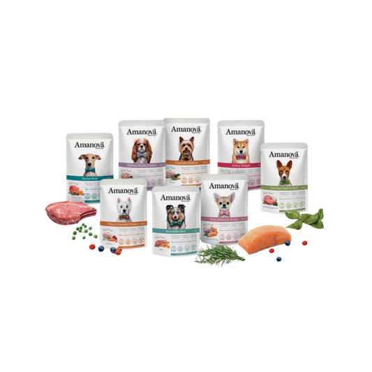 Umido amanova 80gr assortimento vario - 3 bustine da 80gr