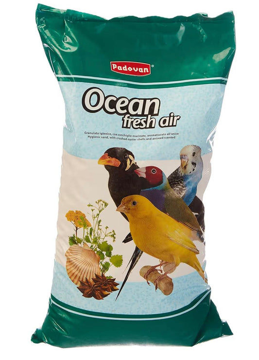 Padovan sabbia oceanica per uccelli 10Kg